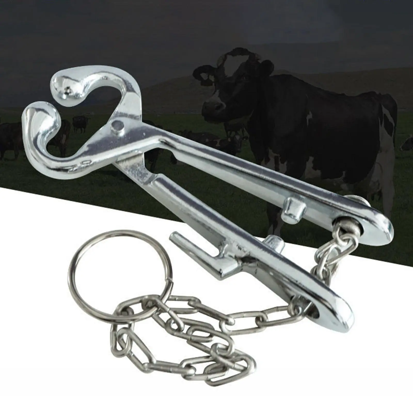 Плоскогубцы для носа крупного рогатого скота из нержавеющей стали, перфоратор, прокалывающий быка для животноводства